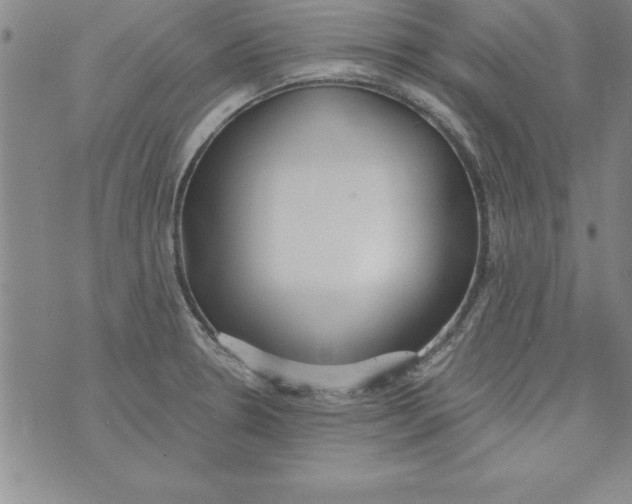 X0000073901330200609082138