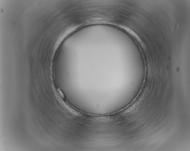 X0000073901333200609082138