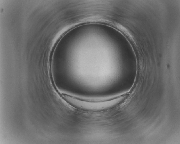 X0000073901334200609082138