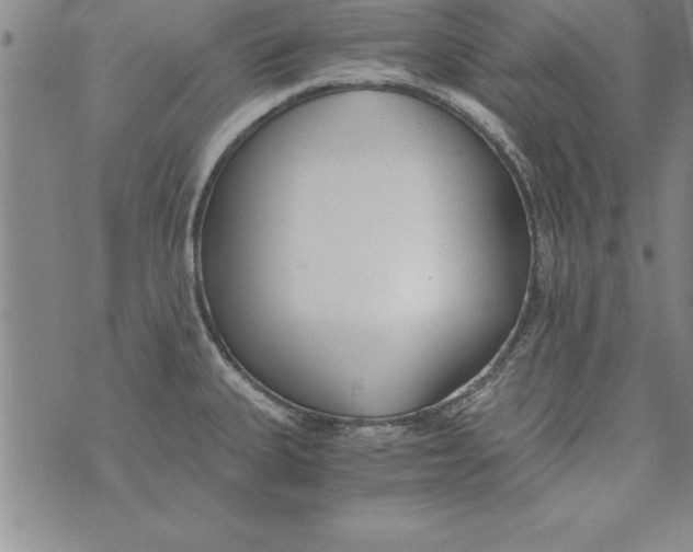 X0000073901335200609082138