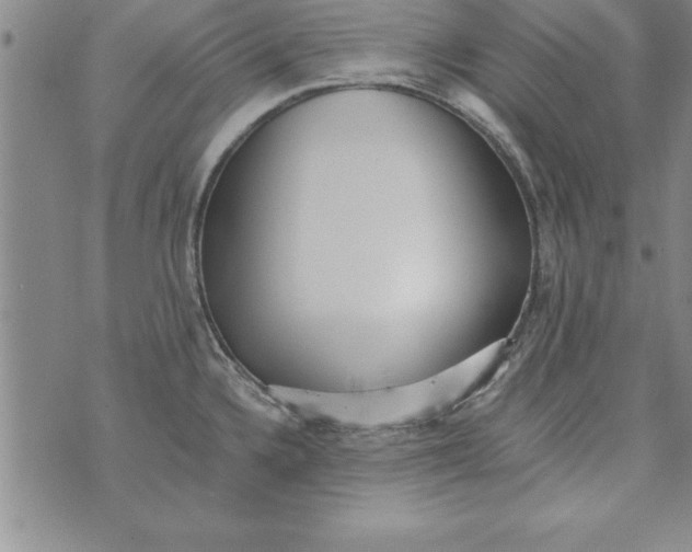 X0000073901336200609082138