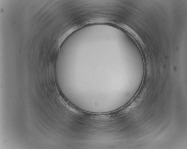 X0000073901337200609082138