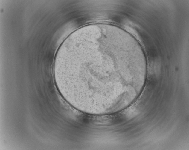 X0000073901338200609082138