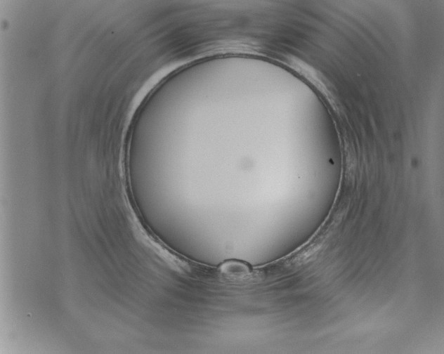 X0000073901339200609082138