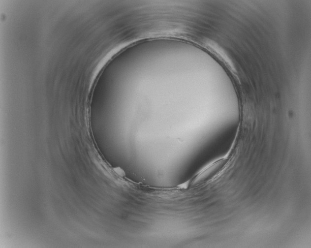 X0000073901340200609082138