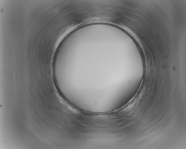 X0000073901341200609082138