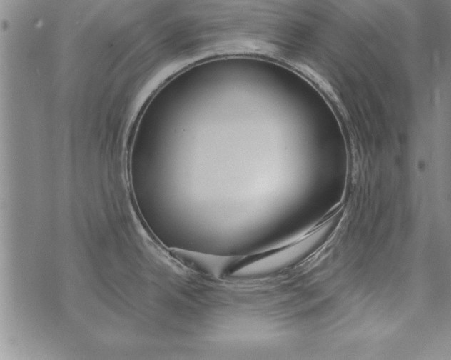 X0000073901342200609082138