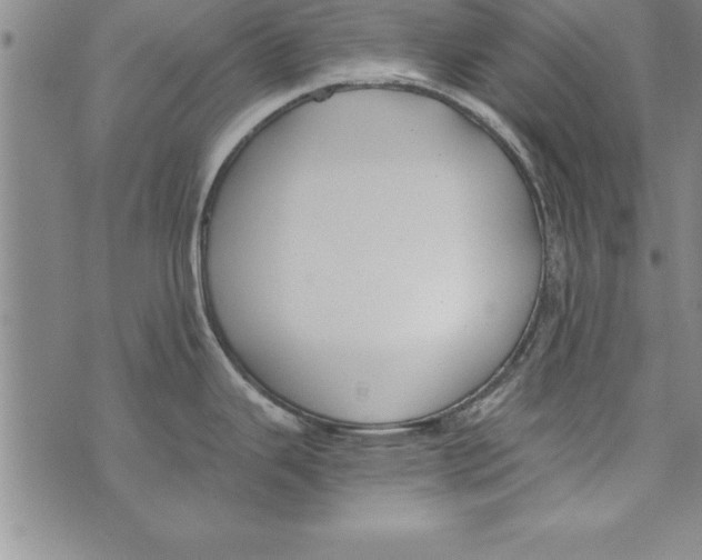 X0000073901343200609082138