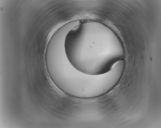 X0000073901344200609082138