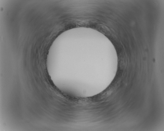 X0000073901345200609082137