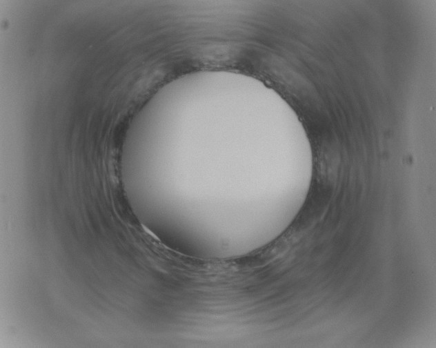 X0000073901346200609082137