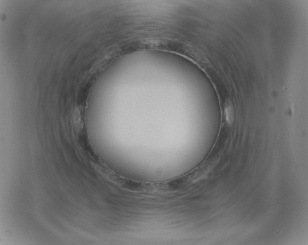 X0000073901347200609082137