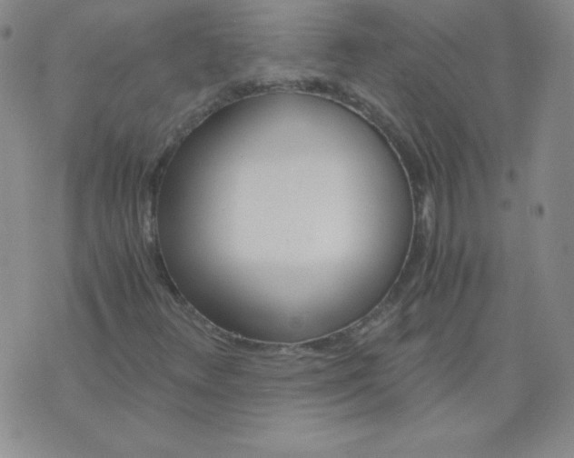 X0000073901348200609082137