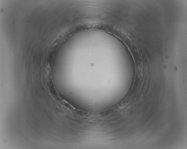 X0000073901349200609082137