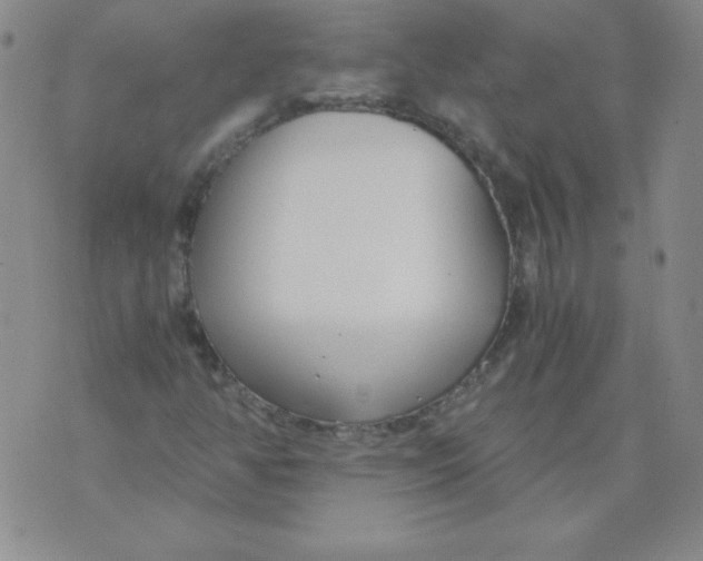 X0000073901350200609082137