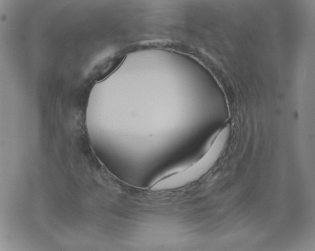 X0000073901351200609082137