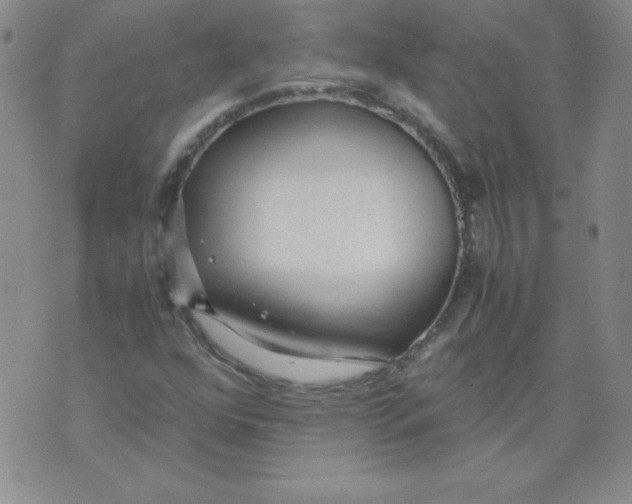 X0000073901352200609082137