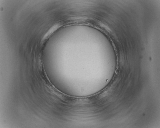 X0000073901354200609082137