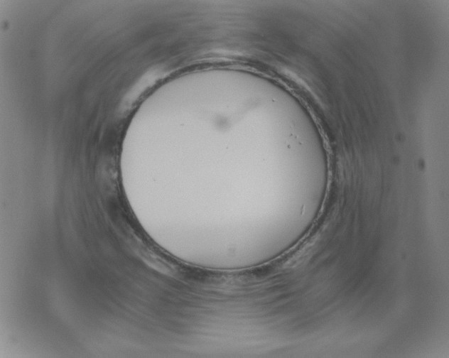 X0000073901355200609082137