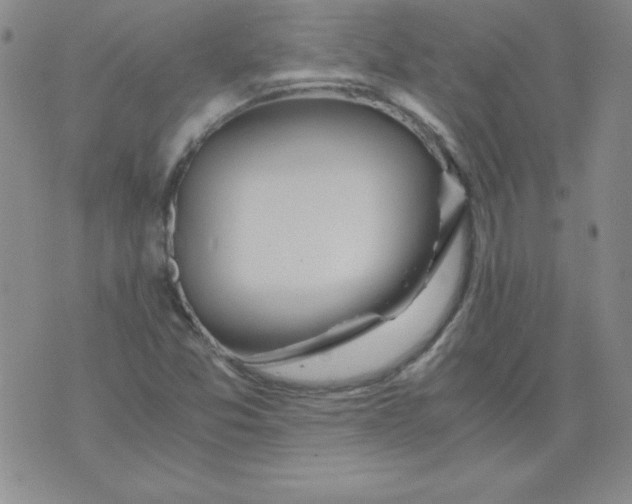 X0000073901357200609082137