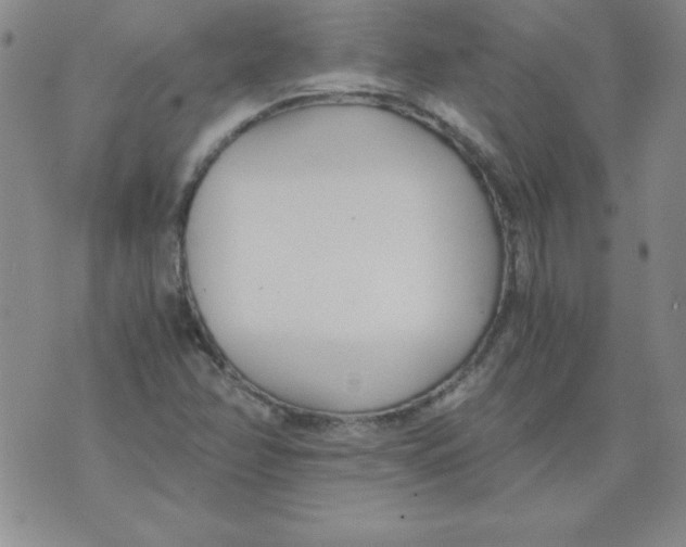 X0000073901358200609082137