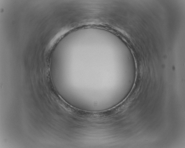 X0000073901359200609082137