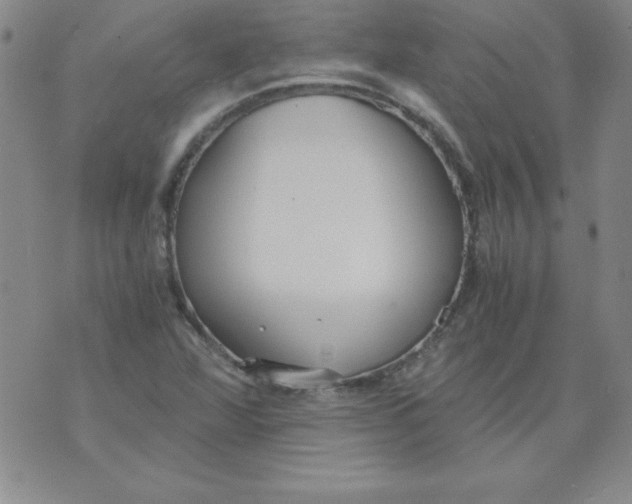 X0000073901360200609082137