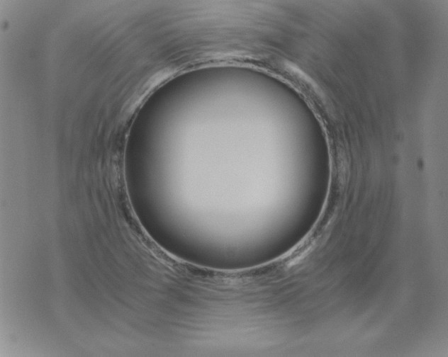 X0000073901361200609082137