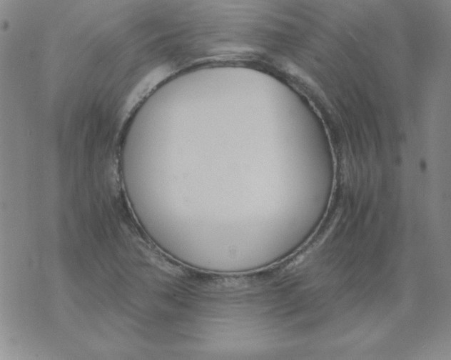 X0000073901362200609082137