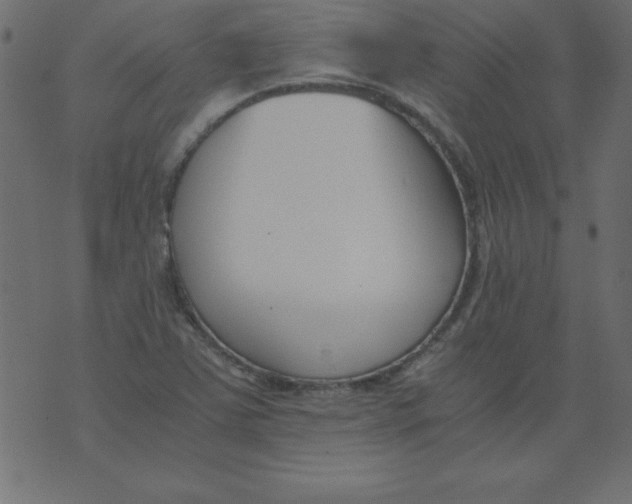 X0000073901363200609082137