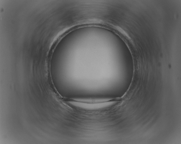 X0000073901364200609082137