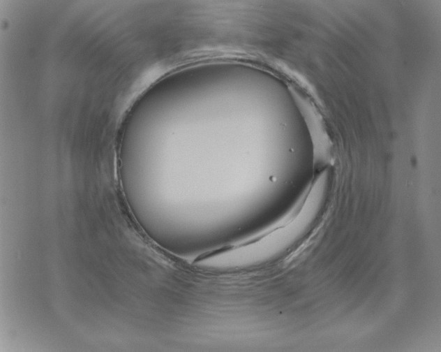 X0000073901365200609082137