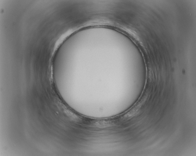 X0000073901366200609082137