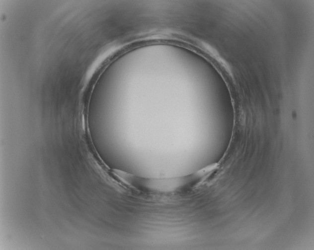 X0000073901368200609082137