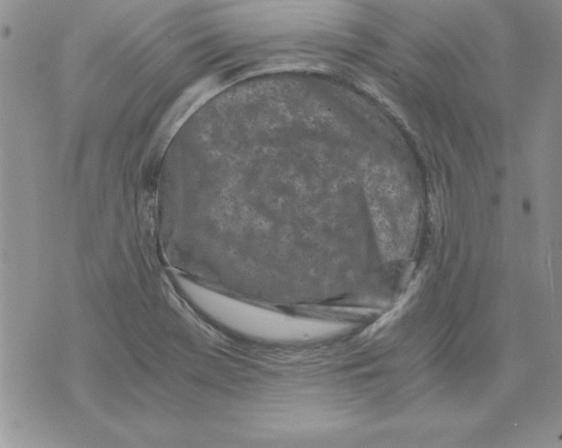 X0000073901369200609082137