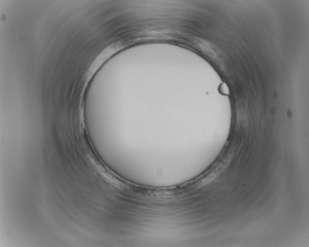 X0000073901370200609082137