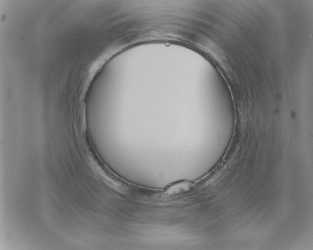 X0000073901371200609082137