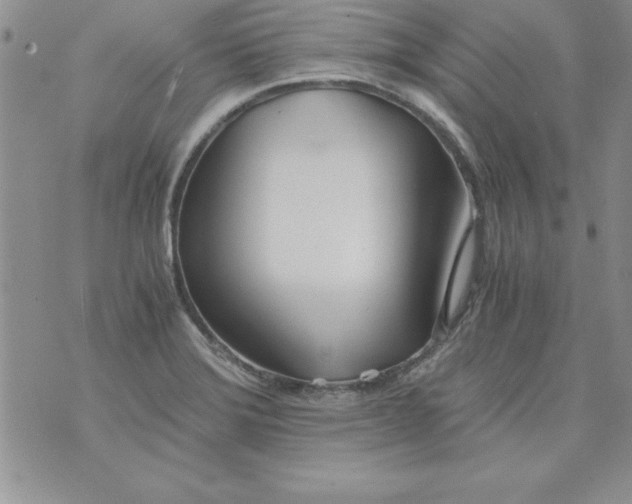 X0000073901372200609082137