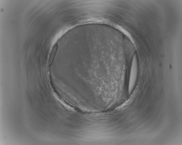 X0000073901373200609082137