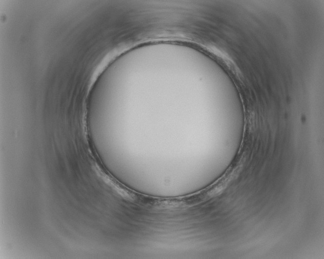 X0000073901374200609082137