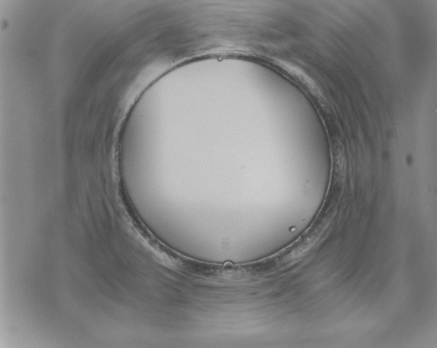 X0000073901375200609082137