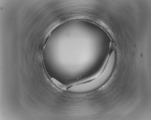 X0000073901377200609082137