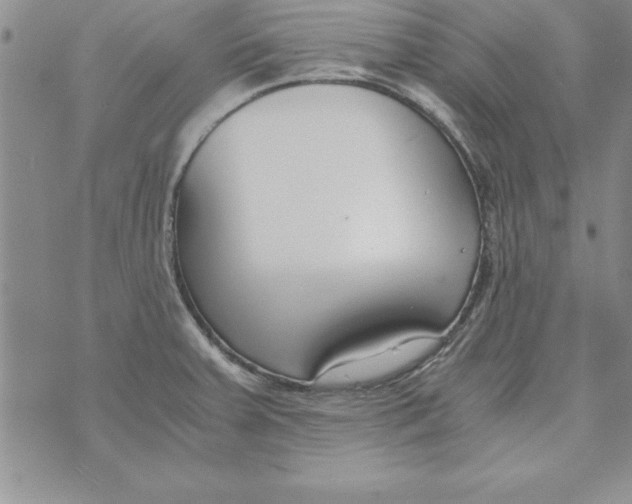 X0000073901379200609082137