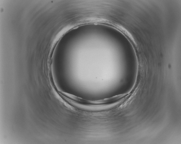 X0000073901381200609082137