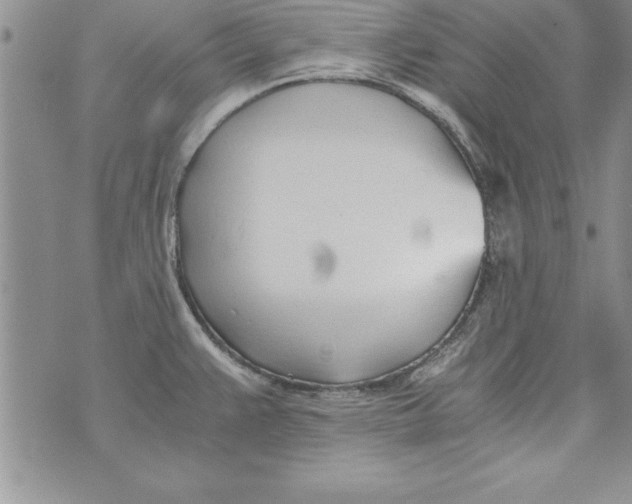 X0000073901383200609082137