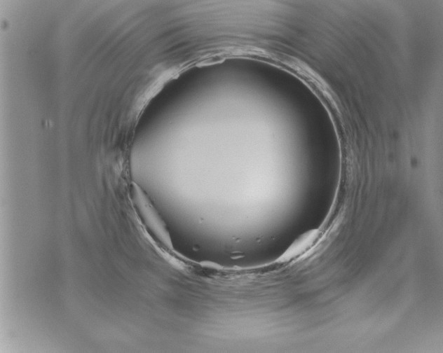 X0000073901385200609082137