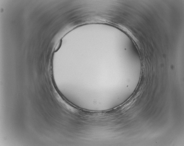 X0000073901387200609082137