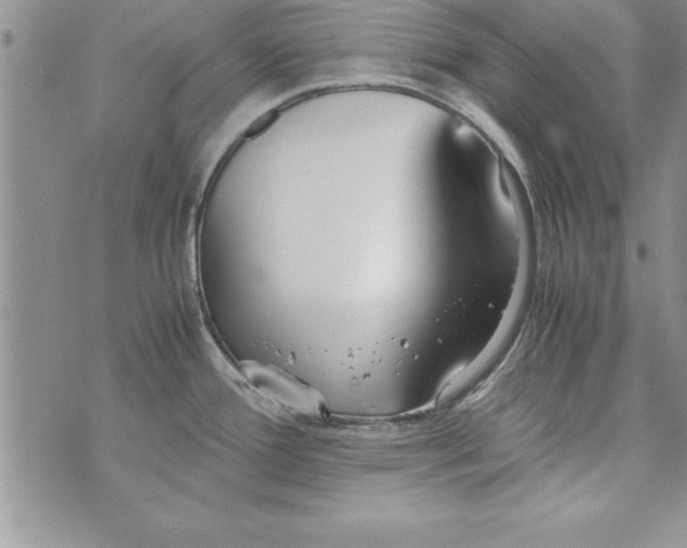 X0000073901388200609082137