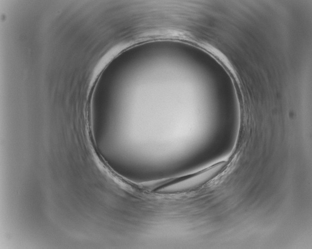 X0000073901389200609082137