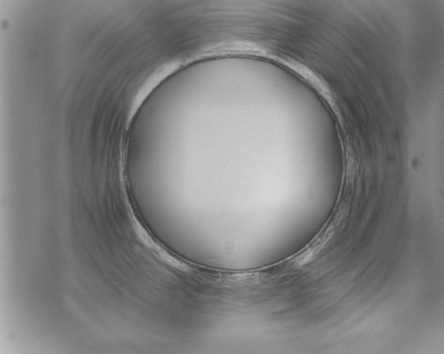 X0000073901390200609082137